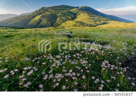 早上從芋頭山的山脊上看到的北阿爾卑斯山的北俁俁山 早上從芋頭山的山脊上看到的北阿爾卑斯山的北俁俁山 90591637