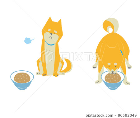 Meal and dog set 90592049