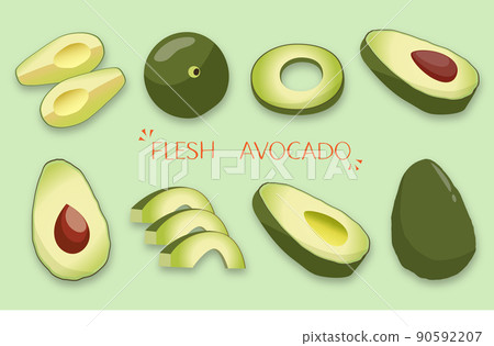 Avocado illustration set Avocado illustration set 90592207