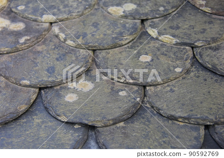 Part of the building / scale-roofed slate roof 90592769