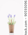 薰衣草花盆 90593096