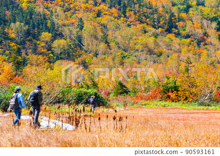 Tsugaike Nature Garden (Autumn) Tsugaike Nature Garden (Autumn) 90593161