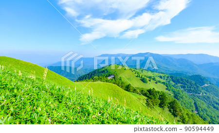 Shinshu Venus Line / Mt. Mitsumine trekking (view from the mountain trail toward Utsukushigahara) 90594449