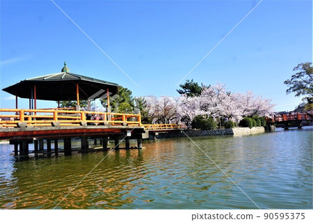 Kikka公園 Kikka公園 90595375