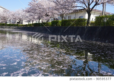 Kikka公園 90595377