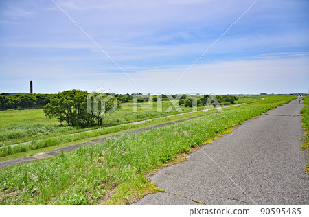 Watarase River embankment Watarase River embankment 90595485
