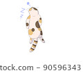 Cat sleeping on its back 90596343