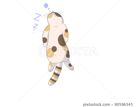 Cat sleeping on its back Cat sleeping on its back 90596343