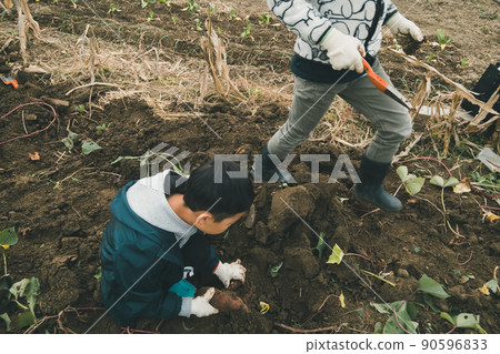 馬鈴薯田 原野 田地 90596833