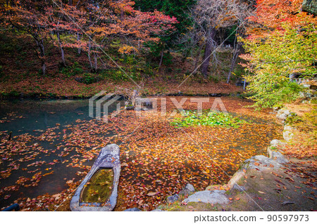 Autumn Shinshu Ueda Autumn leaves Jorakuji pond in the precincts 90597973