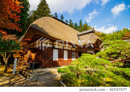 Autumn Shinshu Ueda Autumn leaves Jorakuji main hall 90597977
