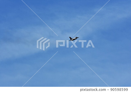 美國空軍F-16戰鬥機在天上飛 美國空軍F-16戰鬥機在天上飛 90598599