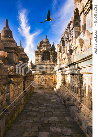 An eagle floating over the Borobudur ruins 90599252