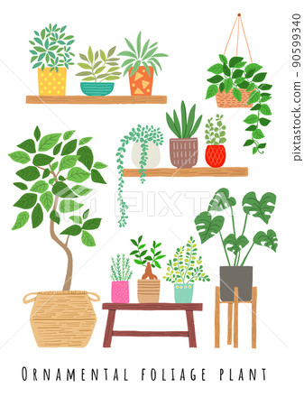 葉子植物的例證 90599340