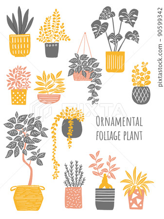 葉子植物的例證 90599342