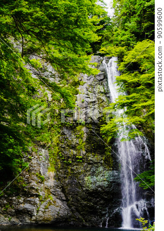 Otaki in the great outdoors Otaki in the great outdoors 90599600