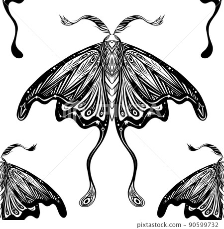 Vector seamless pattern with drawing night butterfly boho decoration. Monochrome texture with moth with tracery ornament. Entomology fabric. Vector seamless pattern with drawing night butterfly boho decoration. Monochrome texture with moth with tracery ornament. Entomology fabric. 90599732