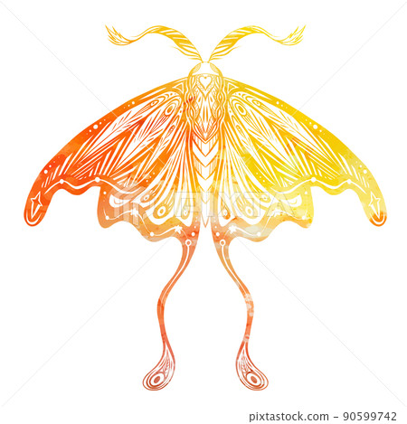 Vector illustration of yellow watercolor moth with boho decoration. Colorful drawing of a moth with tracery ornament. Yellow butterfly Vector illustration of yellow watercolor moth with boho decoration. Colorful drawing of a moth with tracery ornament. Yellow butterfly 90599742