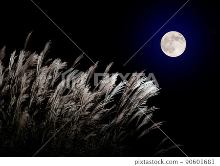 Japanese pampas grass and the full moon in mid-autumn Japanese pampas grass and the full moon in mid-autumn 90601681