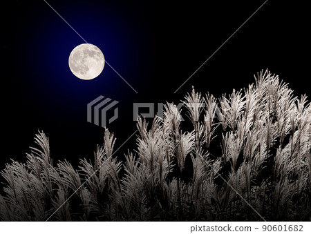 Japanese pampas grass and the full moon in mid-autumn 90601682