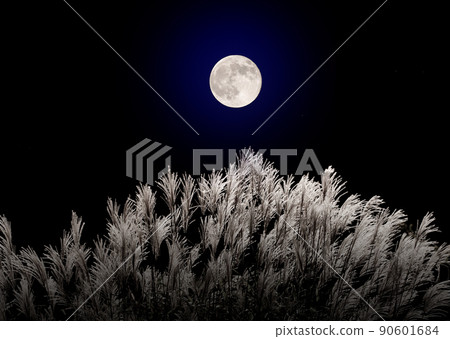 Japanese pampas grass and the full moon in mid-autumn Japanese pampas grass and the full moon in mid-autumn 90601684