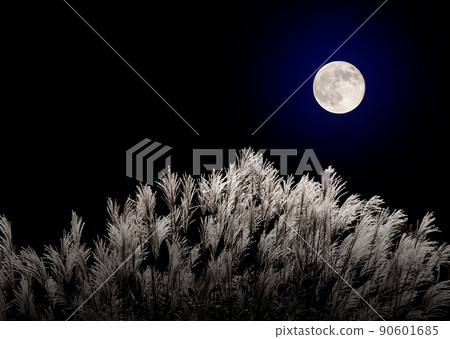 Japanese pampas grass and the full moon in mid-autumn Japanese pampas grass and the full moon in mid-autumn 90601685