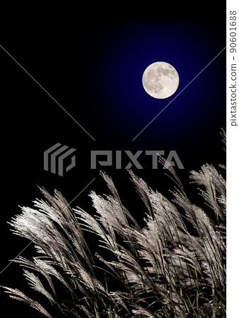 Japanese pampas grass and the full moon in mid-autumn 90601688