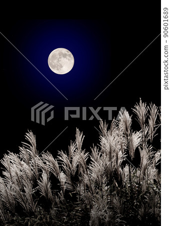 Japanese pampas grass and the full moon in mid-autumn Japanese pampas grass and the full moon in mid-autumn 90601689