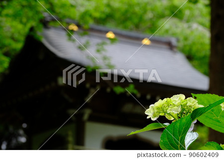 Kamakura Gozan Jochiji Temple 90602409