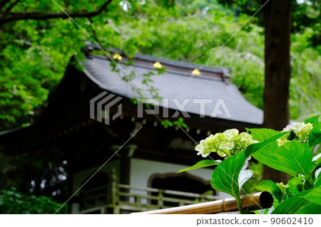 鎌倉禦山淨智寺 鎌倉禦山淨智寺 90602410