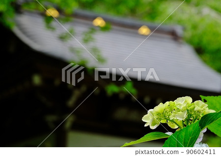 鎌倉禦山淨智寺 鎌倉禦山淨智寺 90602411