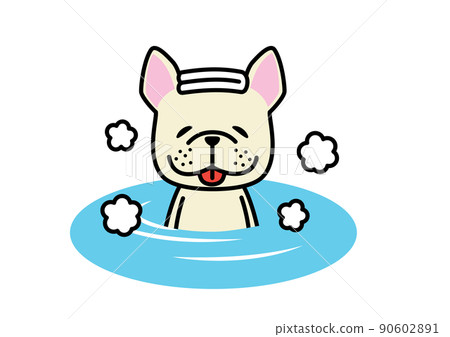 French bulldog cream with a pleasant face in the bath French bulldog cream with a pleasant face in the bath 90602891