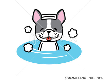 法國鬥牛犬波士頓梗在洗澡時表情愉快 法國鬥牛犬波士頓梗在洗澡時表情愉快 90602892