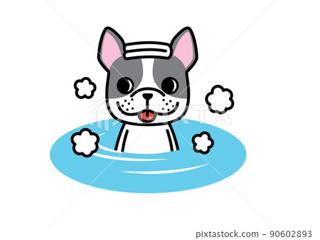 法國鬥牛犬波士頓梗在洗澡時表情愉快 90602893