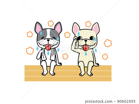French bulldog sweating in the sauna together 90602895