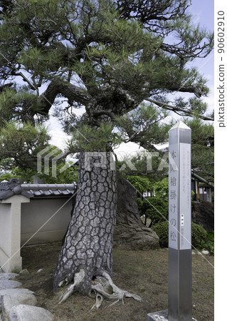 老Koshu Kaido Katsunuma Inn Honjin松樹 90602910