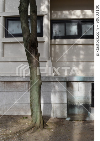 Tomigaoka Hachimangu, Koto-ku, Tokyo Tomigaoka Hachimangu, Koto-ku, Tokyo 90603100