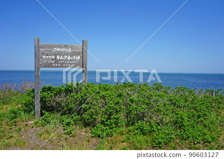 北海道木門二岬 北海道木門二岬 90603127