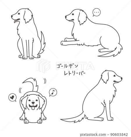 金毛獵犬 90603842