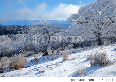 Frozen snowy mountain scenery on a midwinter morning (Chausuyama, Toyone Village, Aichi Prefecture) 90604001