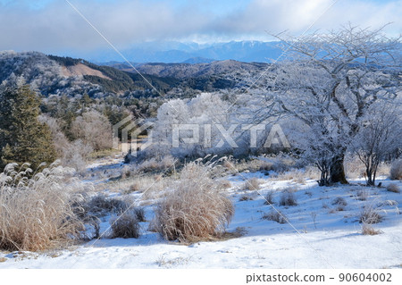 隆冬早晨的冰雪山景(愛知縣豐根村茶臼山) 隆冬早晨的冰雪山景(愛知縣豐根村茶臼山) 90604002