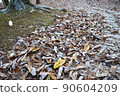 Yellow fallen leaves in dead leaves II 90604209