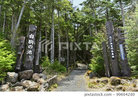 白駒之池入口處的導桿 白駒之池入口處的導桿 90604280