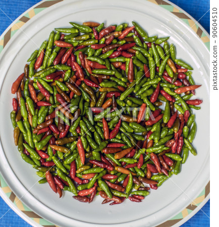 Island Capsicum Pepper 硫磺島 硫磺島辣椒 辣椒 90604510