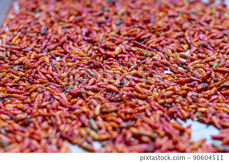 Island Capsicum Pepper Iwo Jima Iwo Jima Chili Pepper Chili Pepper Island Capsicum Pepper Iwo Jima Iwo Jima Chili Pepper Chili Pepper 90604511