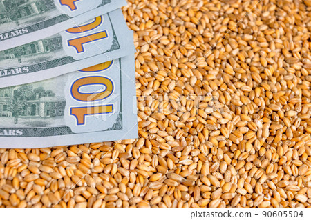 Cash,Flour and wheat crisis.Record prices and high prices for bakery.Rising wheat prices in Europe due to the conflict between Russia and Ukraine. 90605504