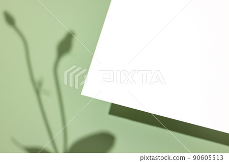 Template paper with plant shadow on pastel green background , great design for any purposes. Abstract background. Banner template. Advertising Template paper with plant shadow on pastel green background , great design for any purposes. Abstract background. Banner template. Advertising 90605513