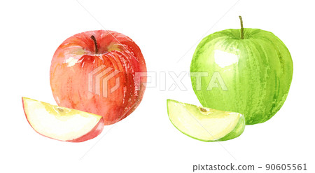 Watercolor illustration of red apples and blue apples analog hand drawn transparent background 90605561
