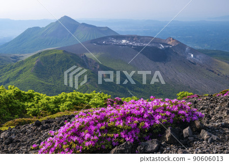 美山霧島開花 空國山 90606013