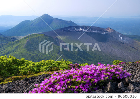 美山霧島開花 空國山 美山霧島開花 空國山 90606016